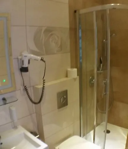 فندق مبيت وإفطار Roza 3*